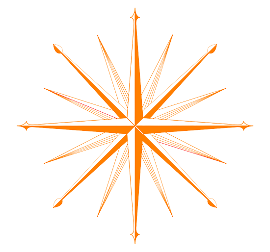 Purpose North Star Icon